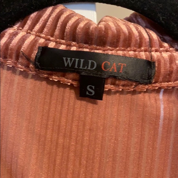 Corduroy Mauve Long Sleeve Blouse - Picture 3 of 4